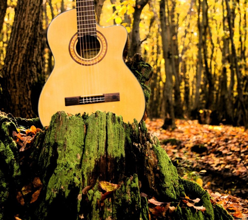 guitar forest