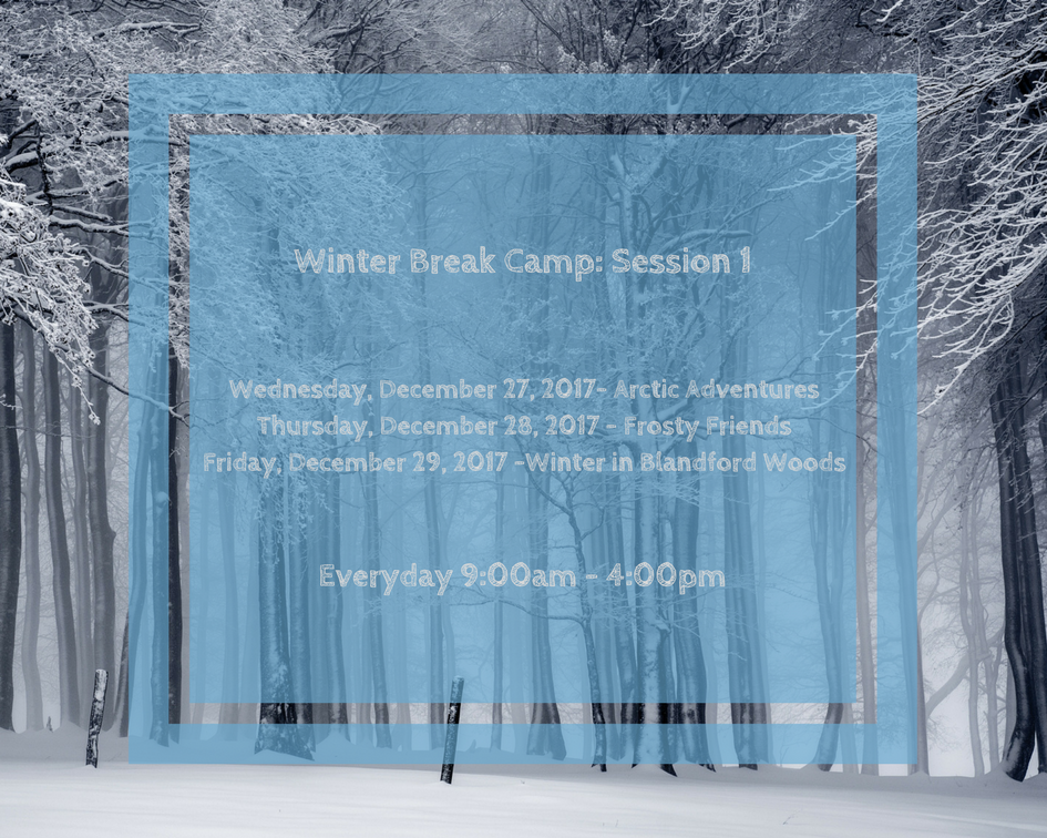 Winter Break Camp