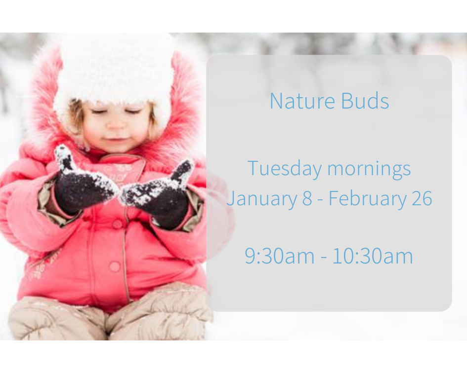 Nature Buds Winter