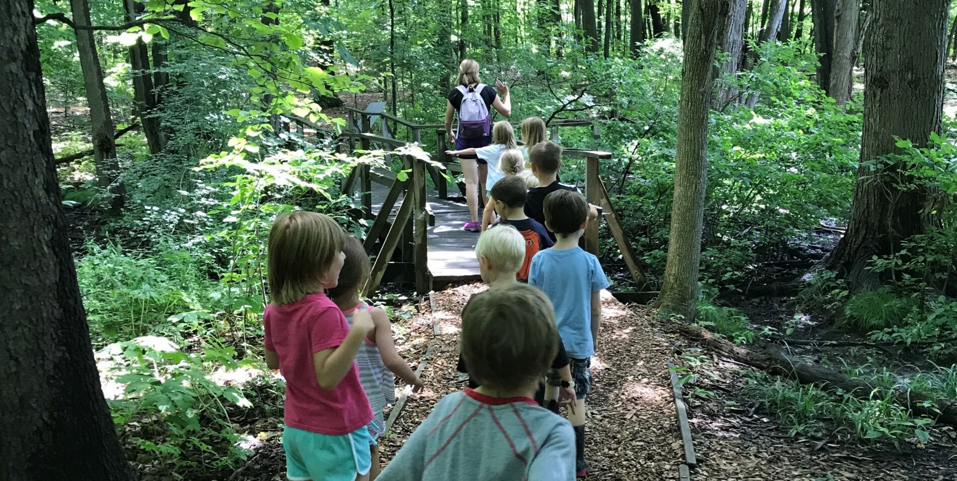 Wild Heart Forest, Farm and Nature School