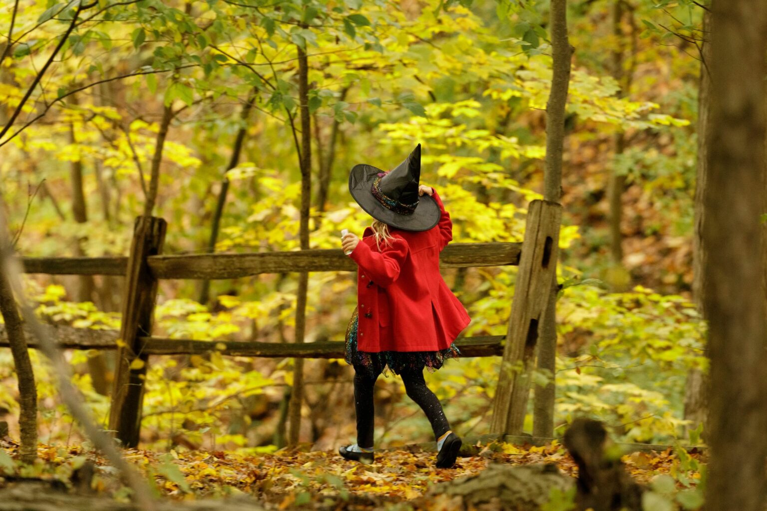 blandford-halloween-hunt-blandford-nature-center