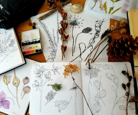 Nature Journaling with Redbriar Studio