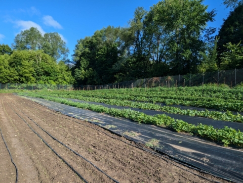 Soil Health Panel